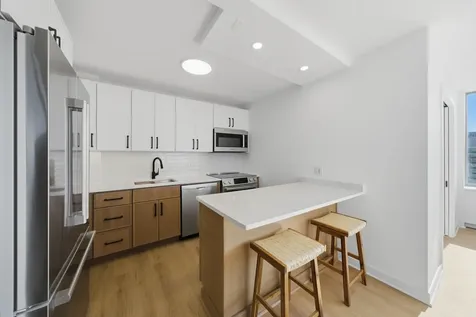 1355 North Sandburg Terrace Chicago IL 60610