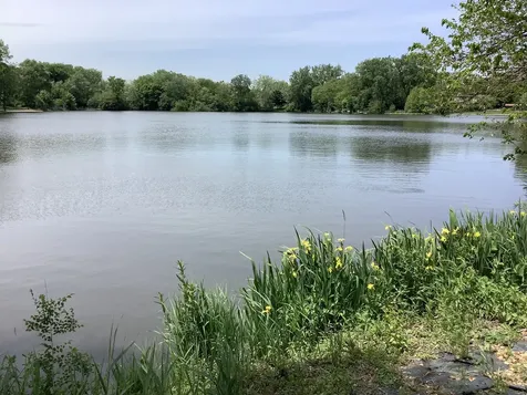 8408 Lakeside Drive Downers Grove IL 60516