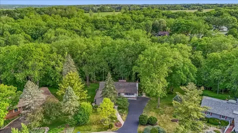 732 Hillside Court Algonquin IL 60102