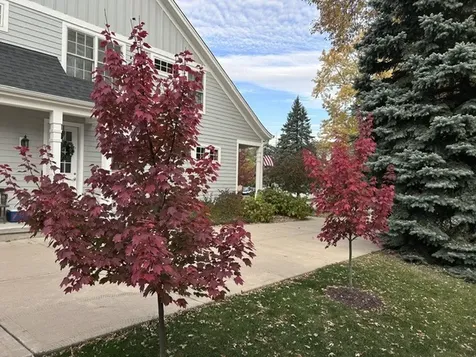 608 Cadillac Drive Wheaton IL 60187