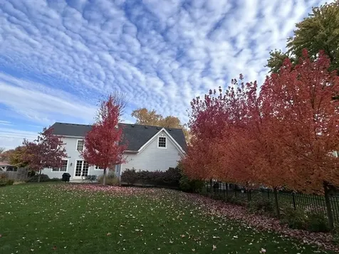 608 Cadillac Drive Wheaton IL 60187
