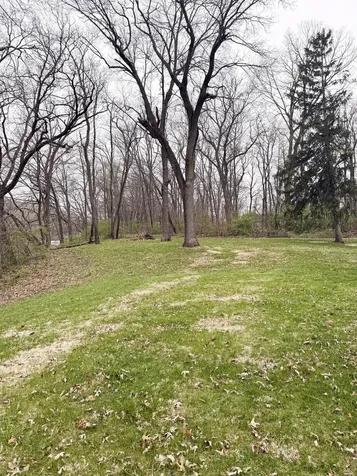 1599 East 2700 North Road Clifton IL 60927