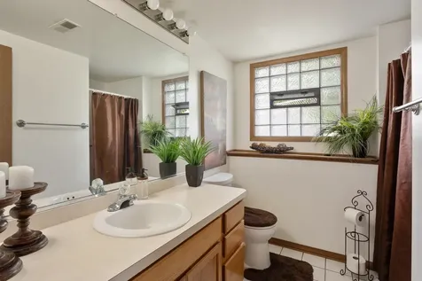 3136 Rosiclaire Court South Chicago Heights IL 60411