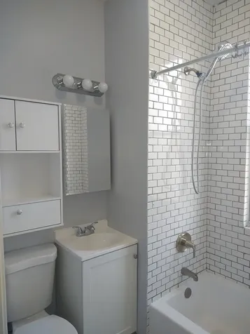 209 South Albany Avenue Chicago IL 60612