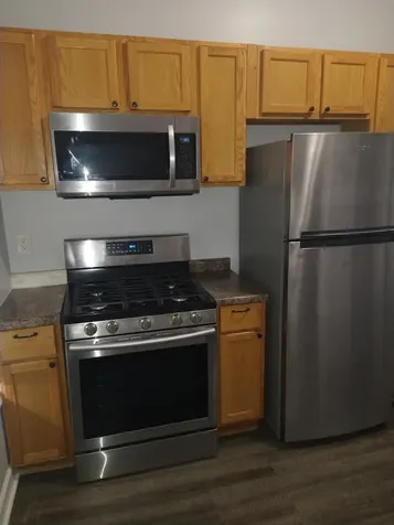 209 South Albany Avenue Chicago IL 60612