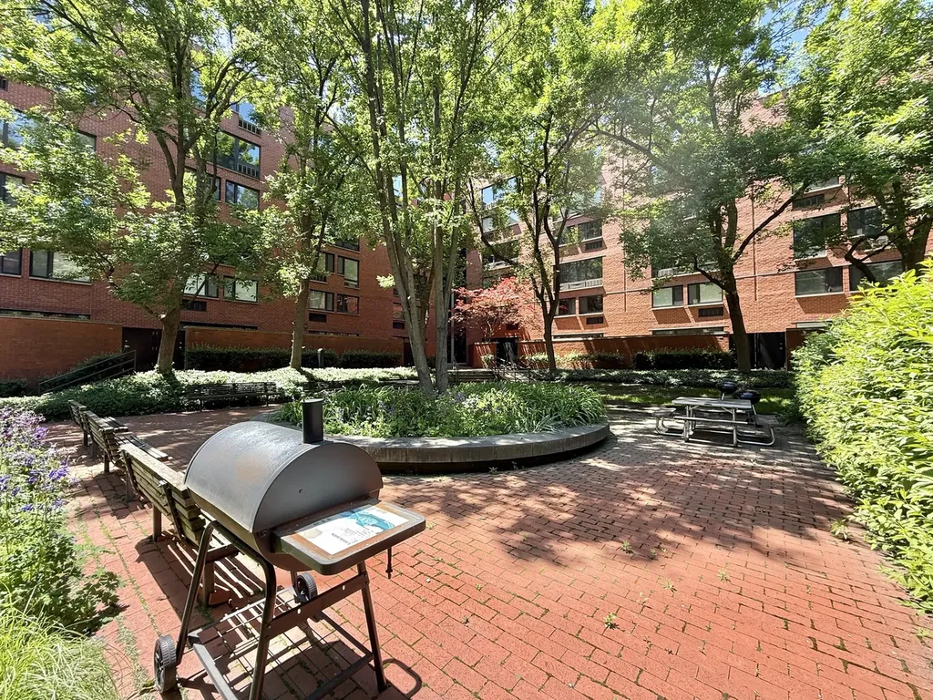 1169 South Plymouth Court Chicago IL 60605