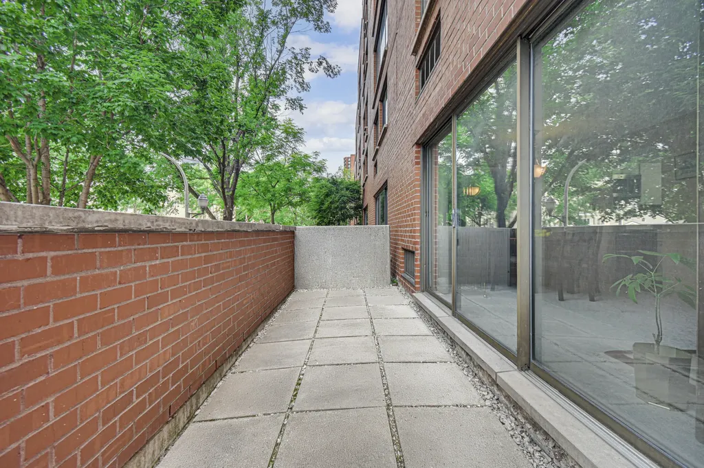 1169 South Plymouth Court Chicago IL 60605