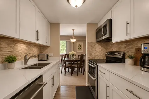 1169 South Plymouth Court Chicago IL 60605