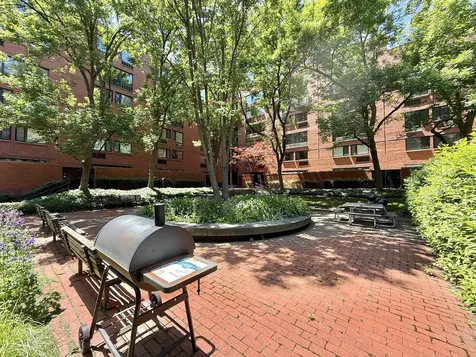 1169 South Plymouth Court Chicago IL 60605