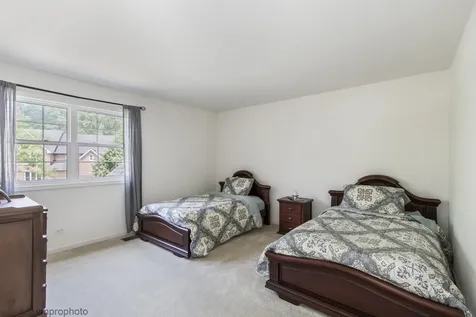 591 West Rosiland Drive Palatine IL 60074