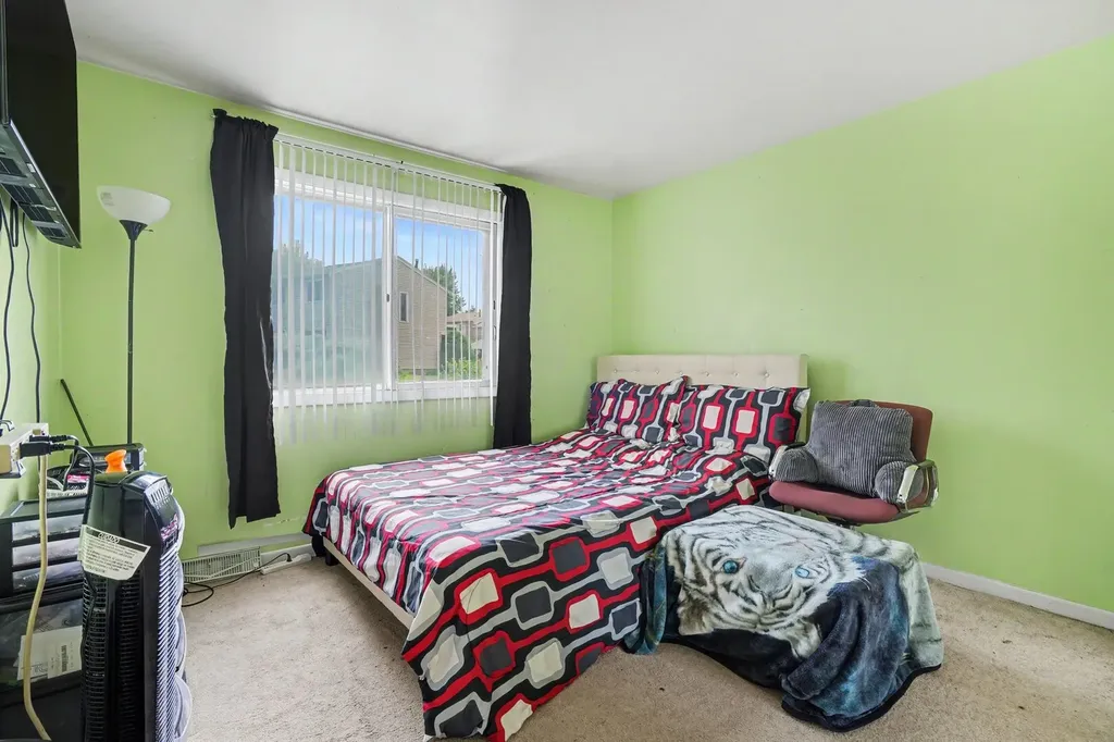 157 Thomas Road Bolingbrook IL 60440
