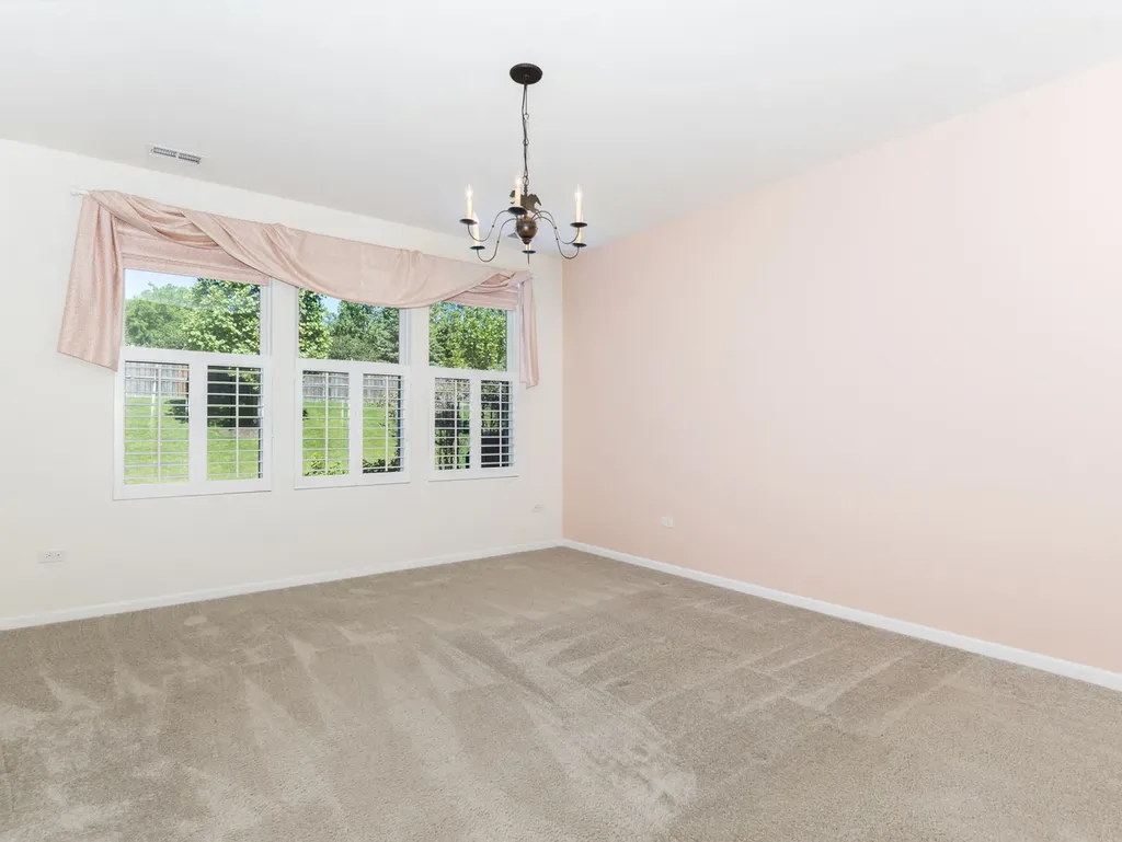 4221 Lobo Court Naperville IL 60564