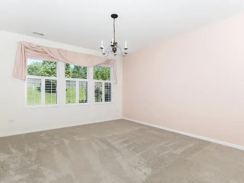 4221 Lobo Court Naperville IL 60564