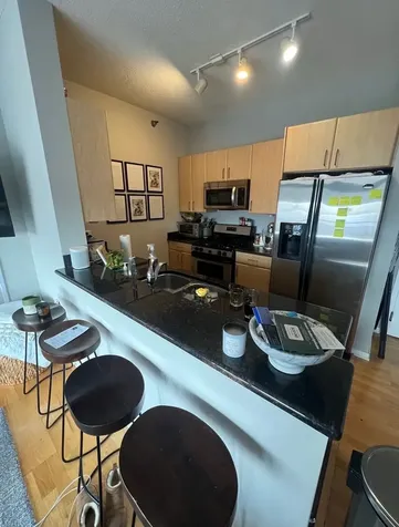 1546 North Orleans Street Chicago IL 60610