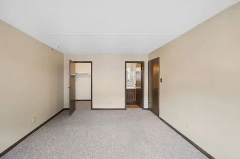 11105 O Gorman Drive Palos Hills IL 60465