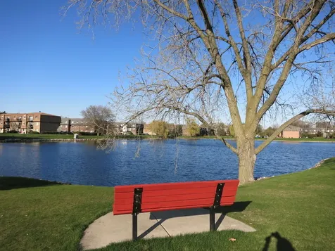 9481 Bay Colony Drive Des Plaines IL 60016