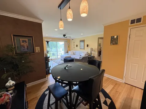9481 Bay Colony Drive Des Plaines IL 60016
