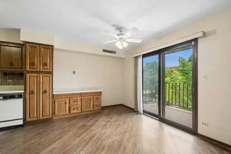 125 Boardwalk Place Park Ridge IL 60068