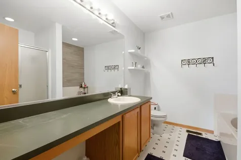 59 Freesia Court Romeoville IL 60446
