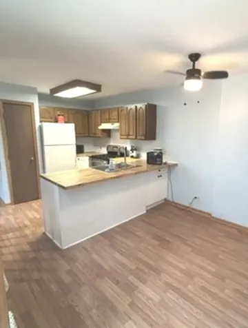 229 Wethington Drive Wauconda IL 60084