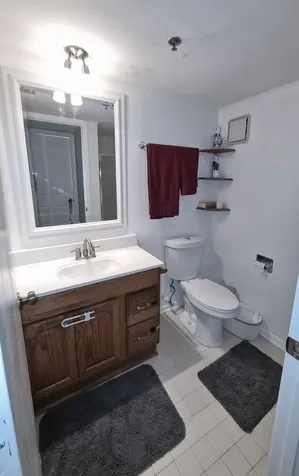 6050 Lake Bluff Drive Tinley Park IL 60477