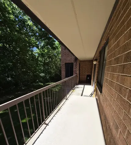 6050 Lake Bluff Drive Tinley Park IL 60477