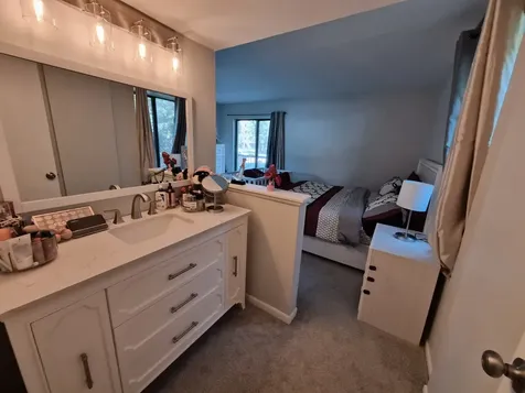 6050 Lake Bluff Drive Tinley Park IL 60477