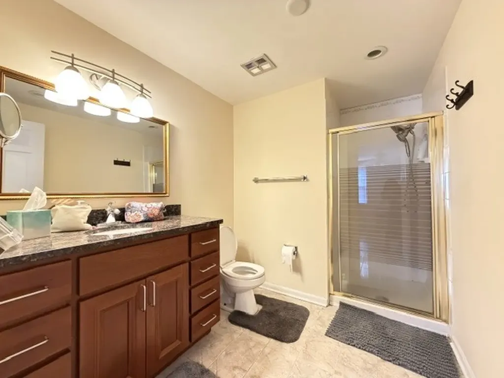 1520 Chippewa Drive Naperville IL 60563