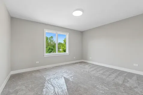 12810 West Beaver Lake Drive Homer Glen IL 60491