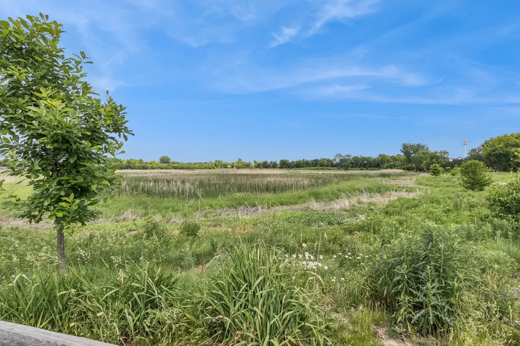 208 Timberleaf Circle Roselle IL 60172