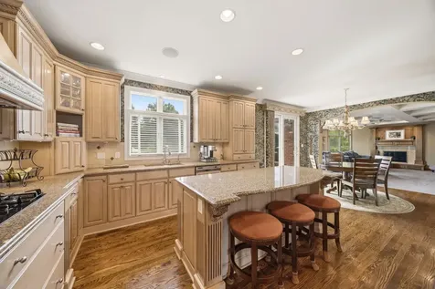 17033 South Deer Path Drive Homer Glen IL 60491
