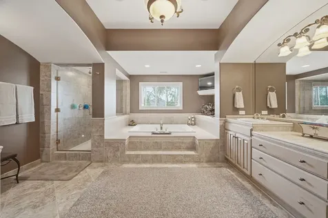 17033 South Deer Path Drive Homer Glen IL 60491