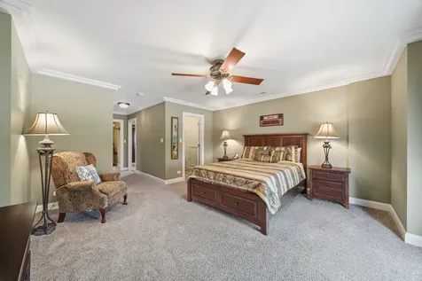 17033 South Deer Path Drive Homer Glen IL 60491