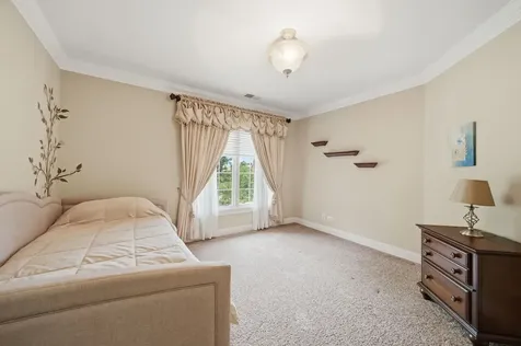 17033 South Deer Path Drive Homer Glen IL 60491