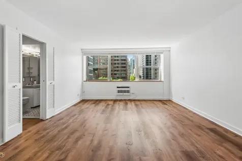 253 East Delaware Place Chicago IL 60611