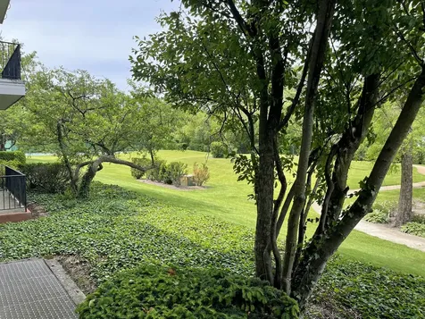 3427 Vollmer Road Flossmoor IL 60422