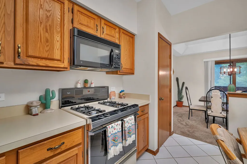 17808 Cameron Parkway Orland Park IL 60467