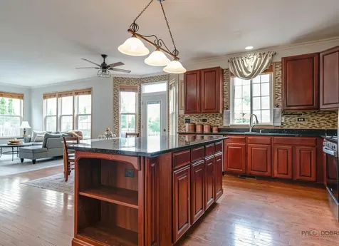 538 West Seaton Drive Round Lake IL 60073