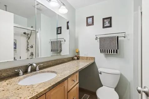 20 Oak Tree Court Elmhurst IL 60126