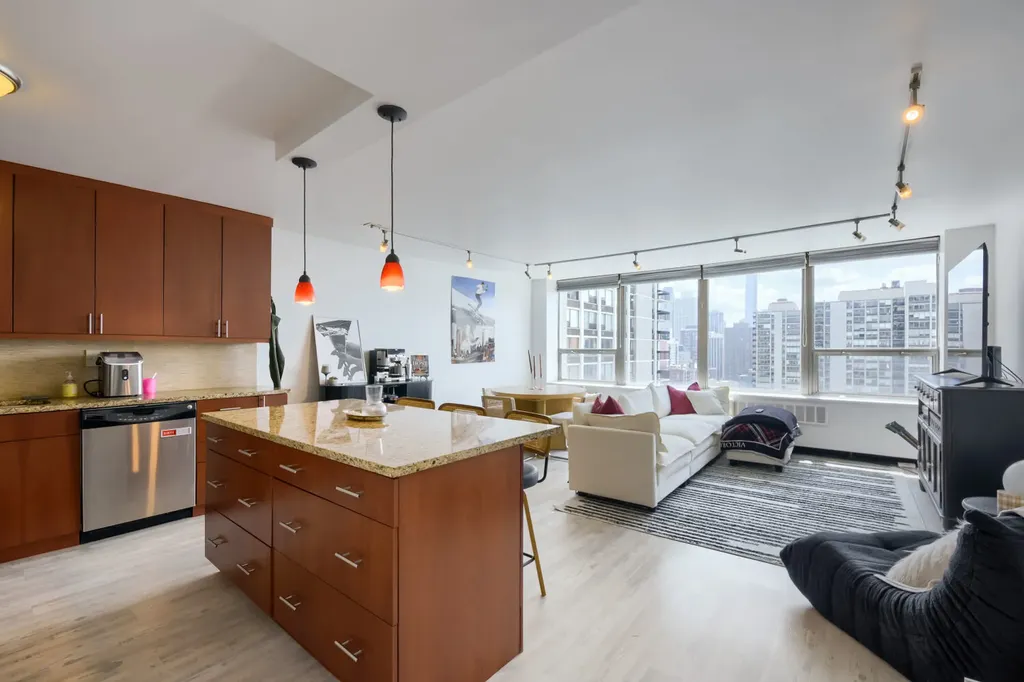 1460 North Sandburg Terrace Chicago IL 60610