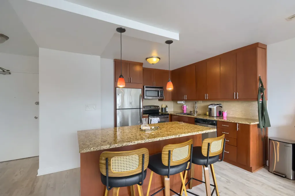 1460 North Sandburg Terrace Chicago IL 60610