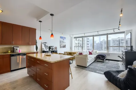 1460 North Sandburg Terrace Chicago IL 60610
