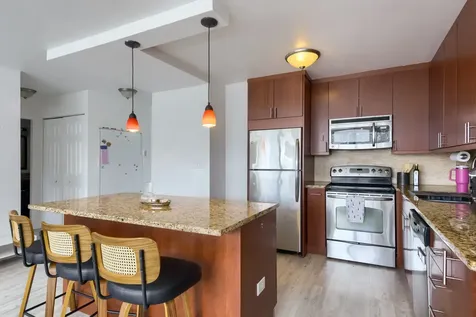 1460 North Sandburg Terrace Chicago IL 60610
