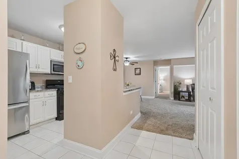 20335 South Rainford Drive Frankfort IL 60423