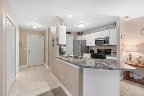 20335 South Rainford Drive Frankfort IL 60423
