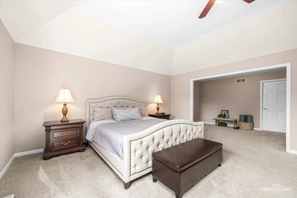 3108 Mistflower Lane Naperville IL 60564