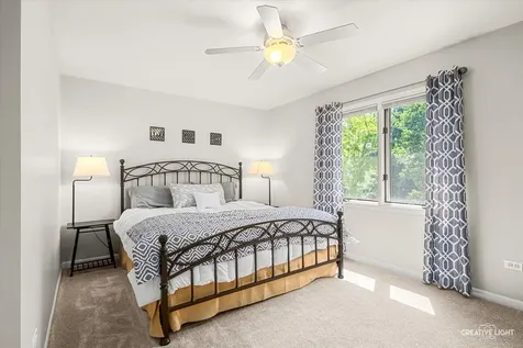 3108 Mistflower Lane Naperville IL 60564