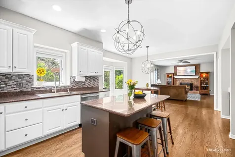 3108 Mistflower Lane Naperville IL 60564