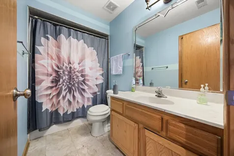 21229 Sophia Drive Matteson IL 60443