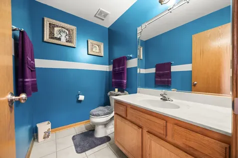 21229 Sophia Drive Matteson IL 60443